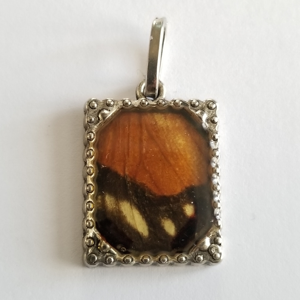 Butterfly wing charm pendant silver tone real insect bug resin handmade